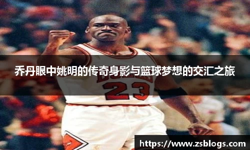 天博·体育登录入口网页版